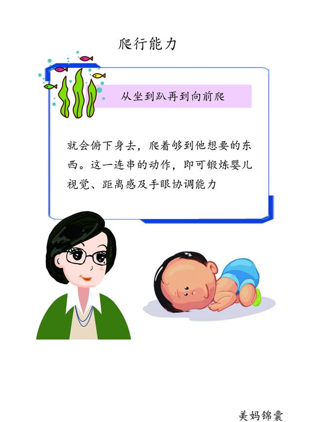                     宝宝爬行能力训练的顺序