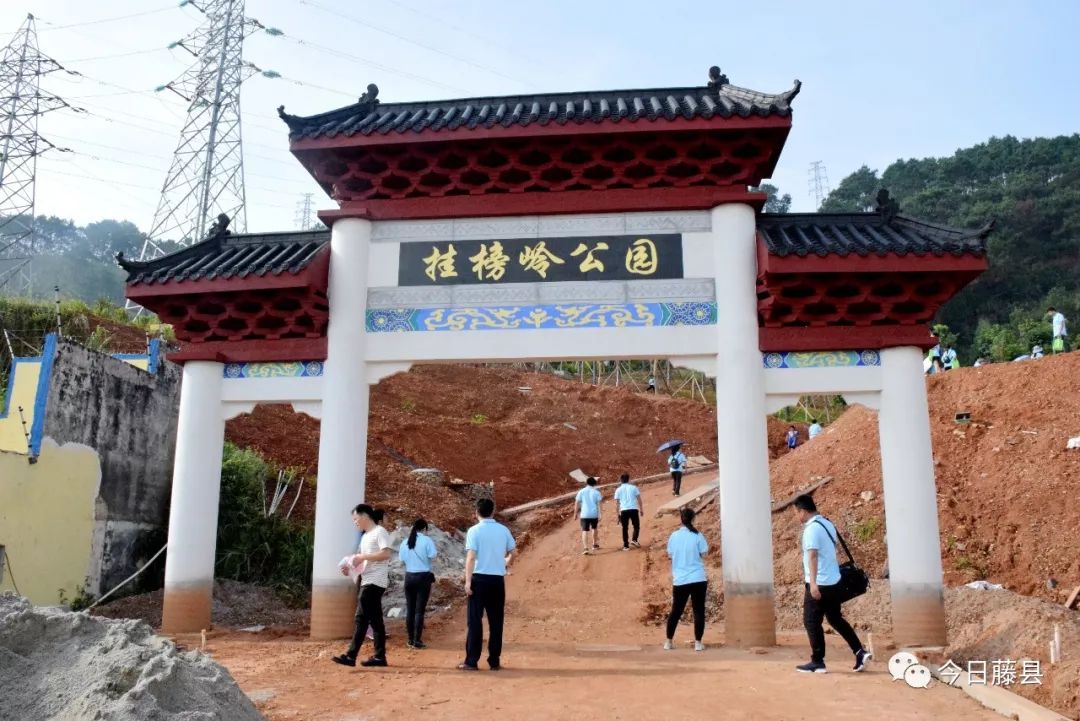 200多人登上挂榜岭公园,藤县健步走活动很给力!