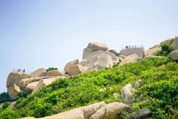 江门台山北陡镇荔枝旅游文化节即将开锣,与