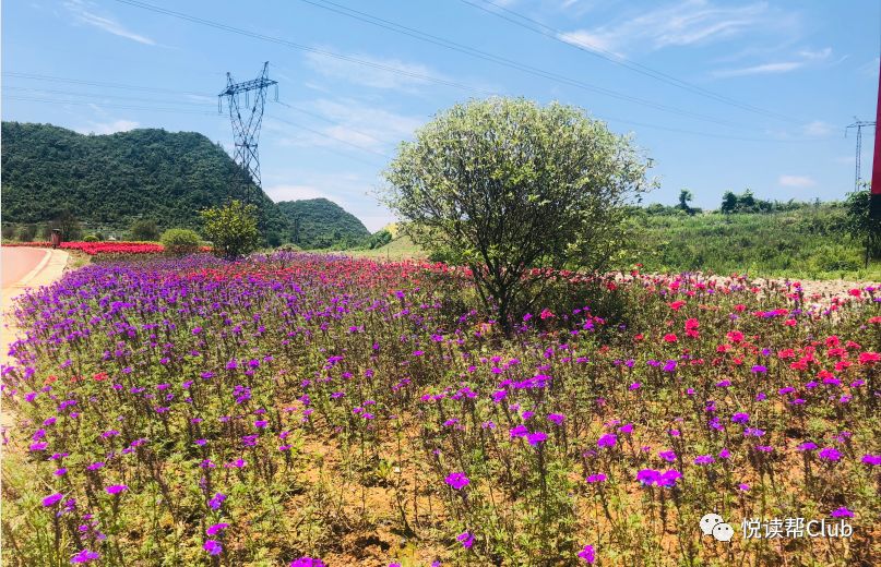 活动报名|6月22日,安顺最美打卡"宝藏地"已出炉!错过了只能再等一年