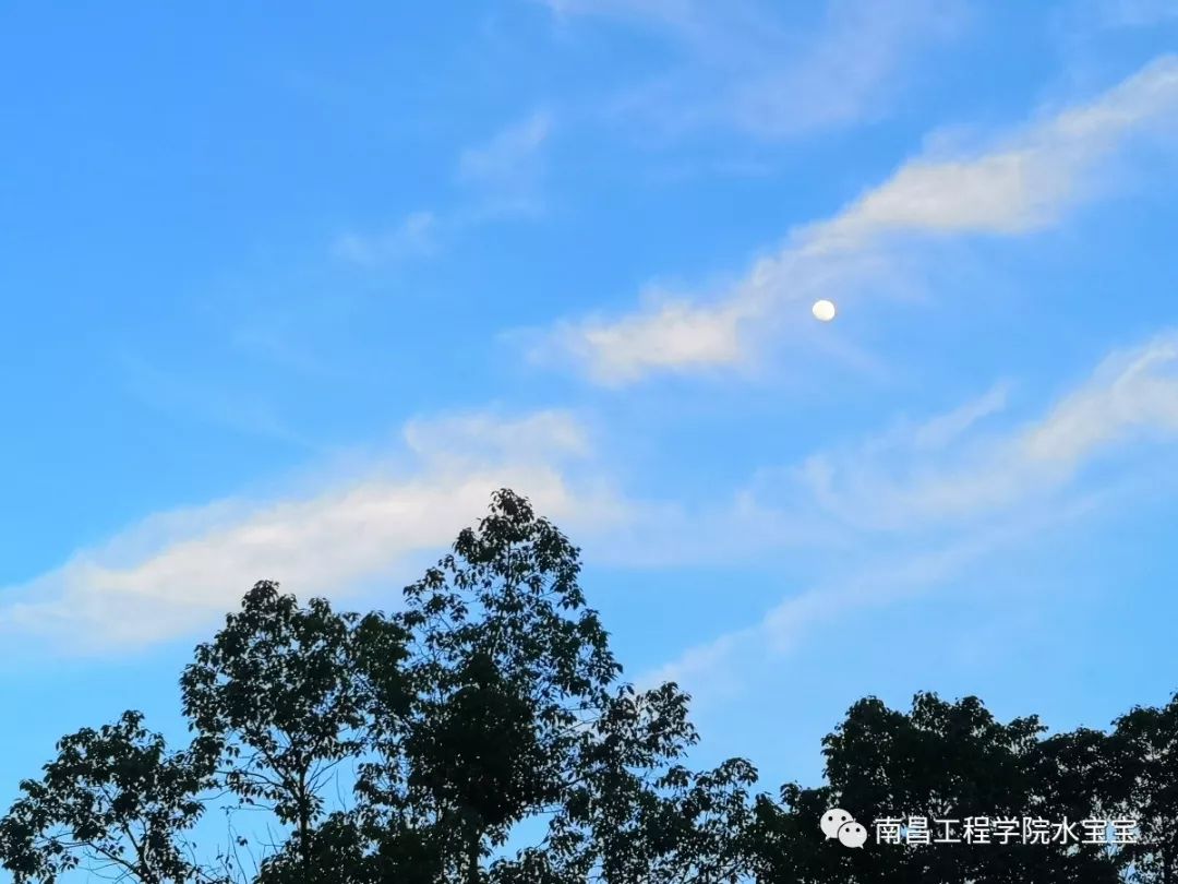 【天空之城】你这个亚子,叫我怎能不心动