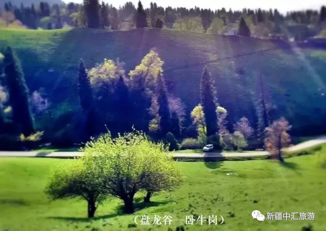盘龙谷道陶醉美景回归纯粹