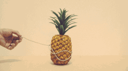 怎么切凤梨又快又好 134e86e7f843426884bcd2ad666ad05c.gif