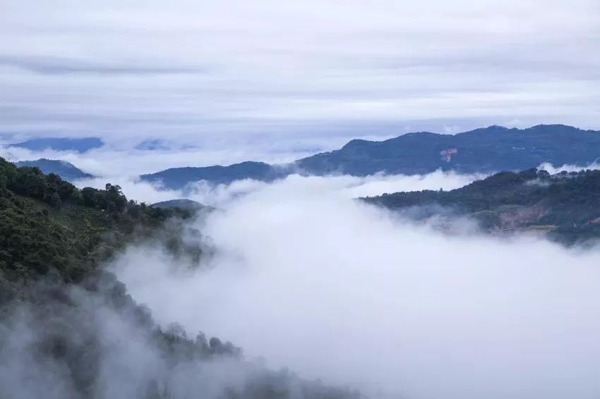 勐海有多少人口_普洱茶古六大茶山春茶品鉴会圆满举行(3)