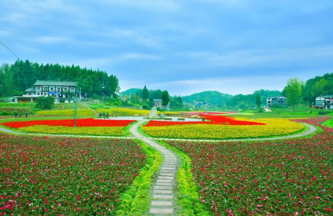 8.6 营山县明德乡明昌村2019.8.7 蓬安县正源镇红豆村2019.8.