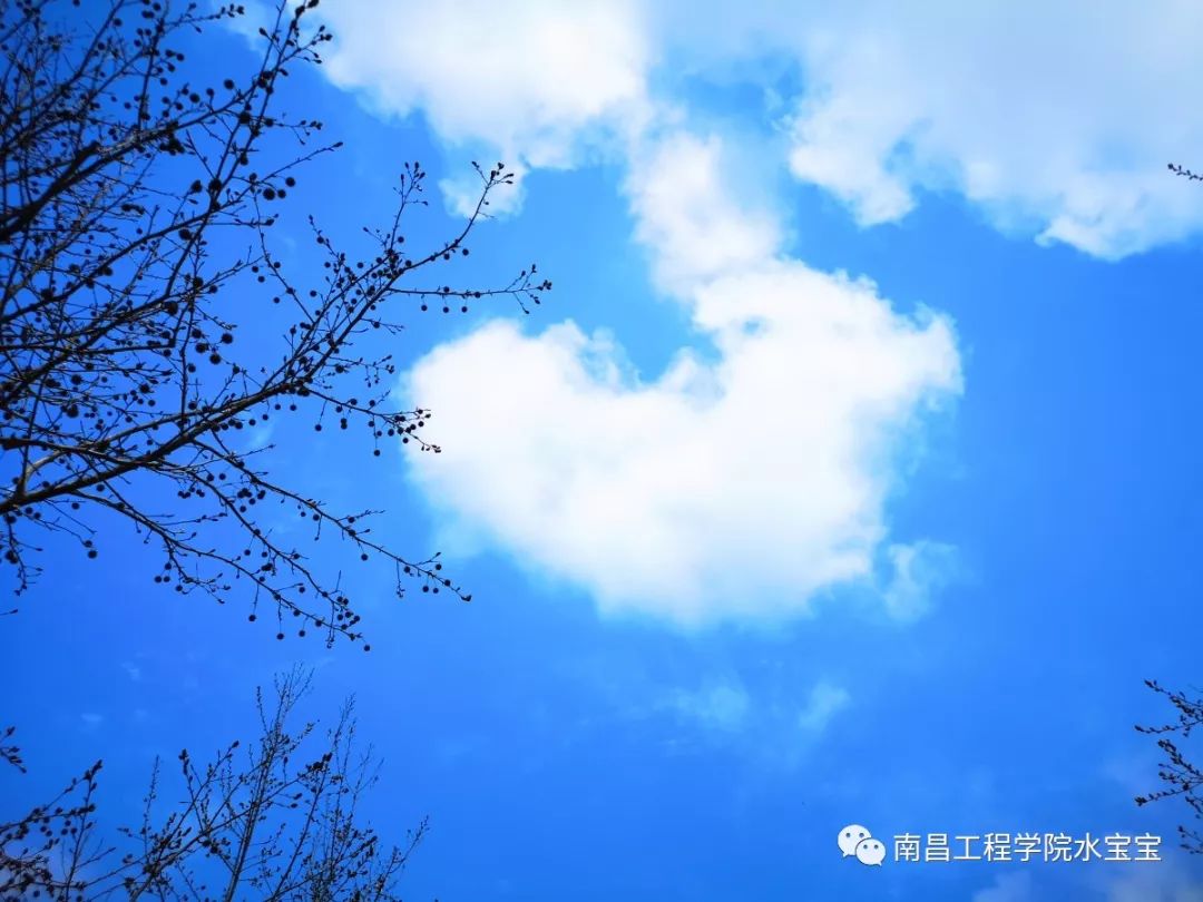 【天空之城】你这个亚子,叫我怎能不心动