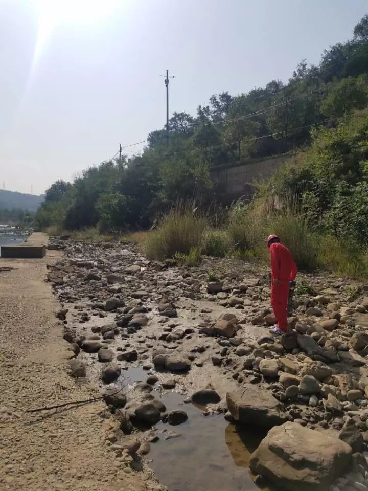 地震来了我们该怎么办