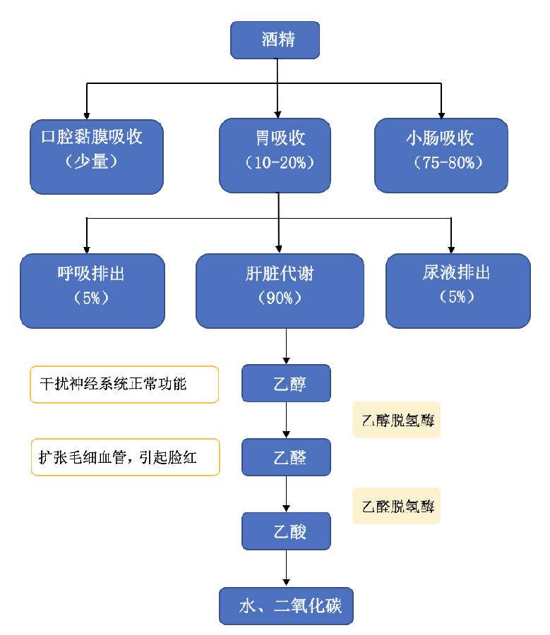 肝功能gdp_复查过肝功能的进来看一下 国内航空 kongjie.com(2)