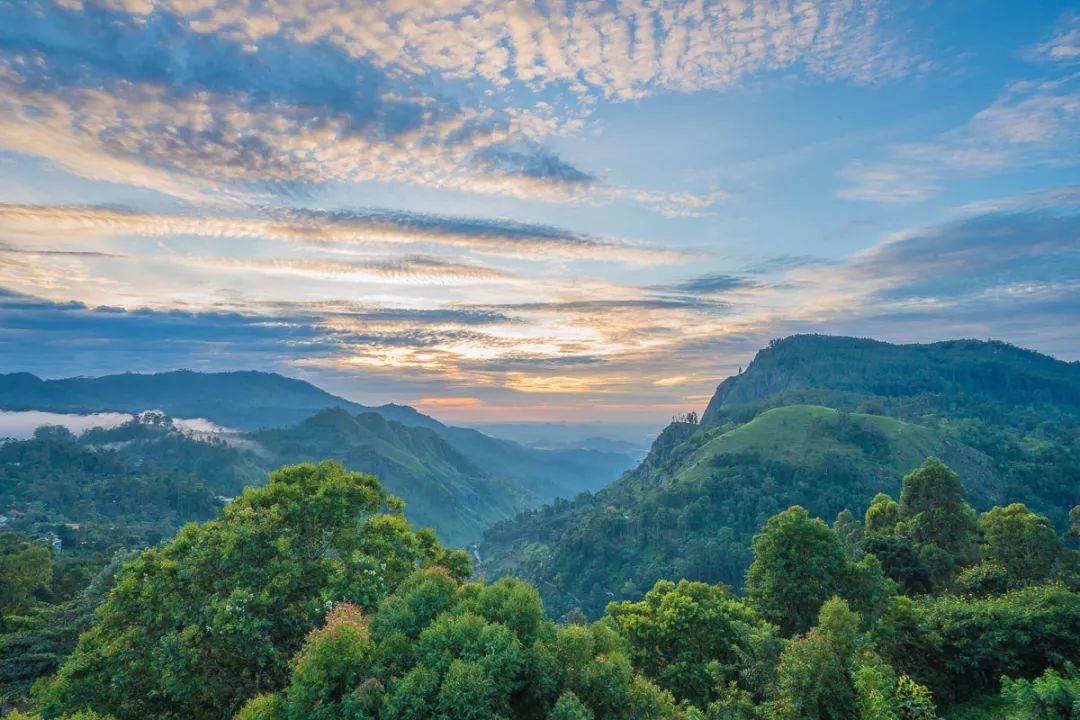 【游记】斯里兰卡六日游:印度洋上的明珠