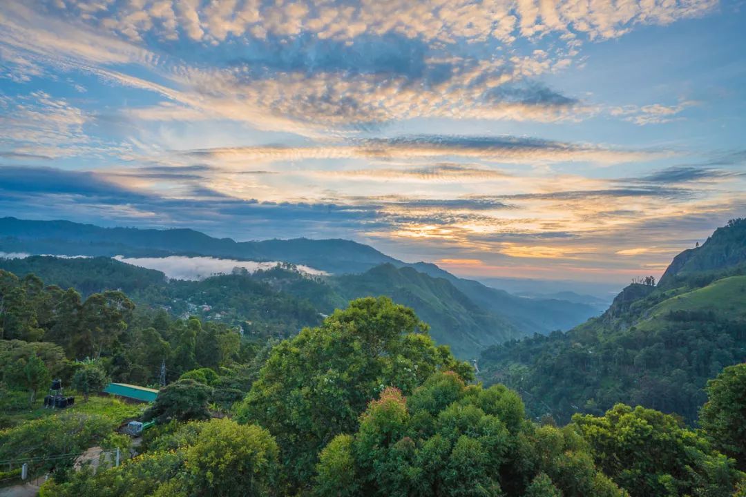 【游记】斯里兰卡六日游:印度洋上的明珠