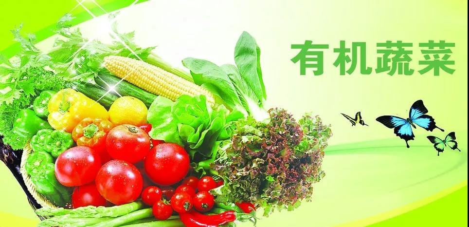 啥时候开始农业普查 3349b5f03a0147feba7dc17fd1fb69d8.jpeg