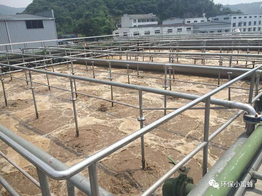 氨氮去除菌
