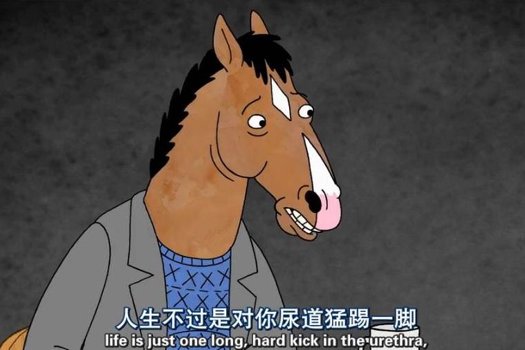 网飞公司出品的首部成人动画,一推出就火爆全