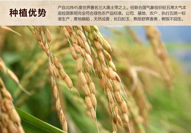 什么是五常之道 404c7940a86e458bae5385a57565f753.jpeg