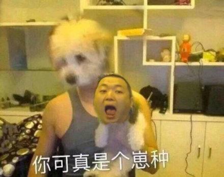 药水哥表情包|你还敢和我刘波作对吗