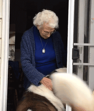 原創
            90多歲老奶奶不肯搬往兒子家，竟是由於領居家的狗太可愛了？！ 寵物 第7張