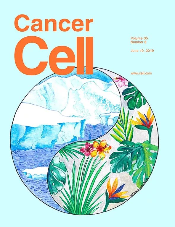 cancer cell杂志封面)