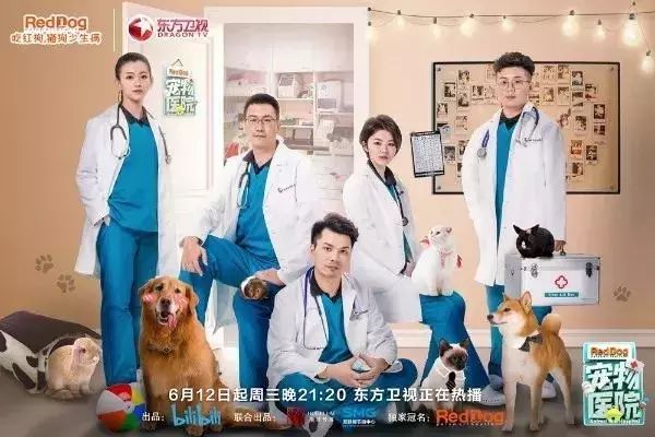 宠物医院排行榜_宠物健康受重视,重庆TOP10宠物医院榜单告诉你怎么选