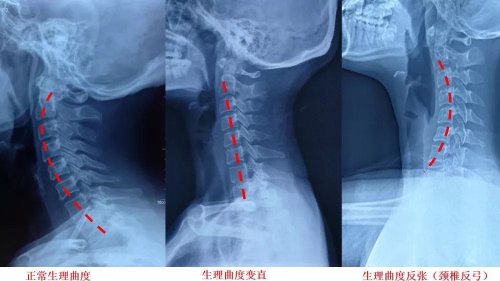 什么是生理因素 60d4bcbc687b4d1e899ddc8207e83b57.jpeg