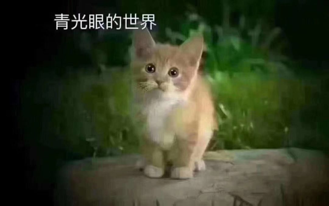 黄斑病变,青光眼,白内障 他们眼睛看到的世界究竟会是什么样子的呢?