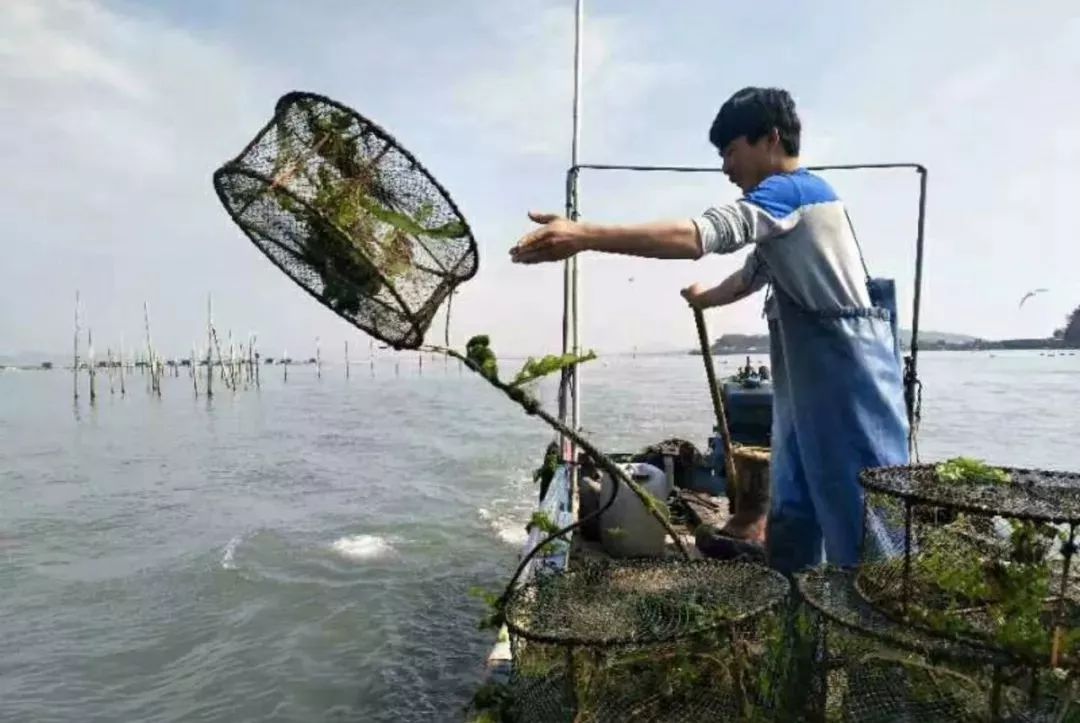 【东山岛渔民体验，感受最原始的海上生活，团队特别赠送航拍小视频】打卡抖音网红点-鱼骨沙洲、铜陵镇老街-顶街、南门湾汽车一日游
