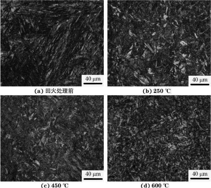 回火温度对含硼高强钢显微组织和力学性能的影响