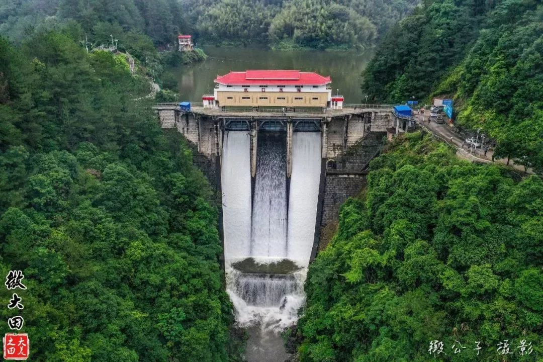 坑口水库泄洪摔死了这么多鱼村民都去捡免费的纯天然库鱼了