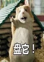 我该怎么办电影在线 73380ede2c494a188ddf26d1fd6f8a08.jpeg