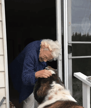 原創
            90多歲老奶奶不肯搬往兒子家，竟是由於領居家的狗太可愛了？！ 寵物 第8張