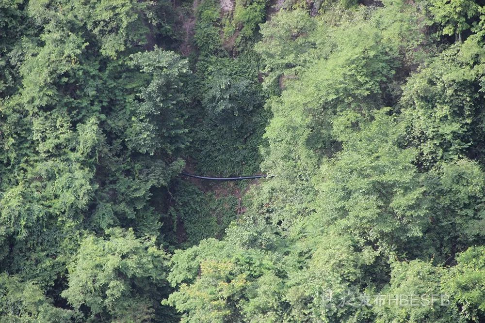 再现当代红旗渠恩施红土百姓向死亡三十六弯要来甘泉