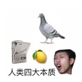 别轻易在柠檬精面前秀恩爱,随便甩个表情包都能给你整