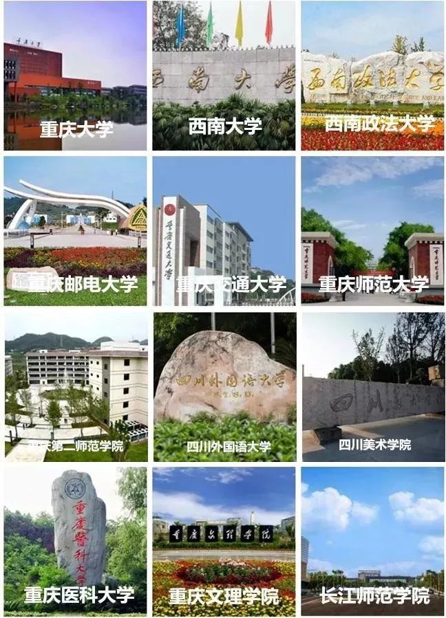 这是我的学历  还有百万大学生,教育资源丰富 其中重庆大学既是985