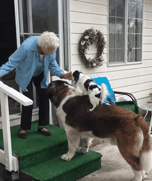 原創
            90多歲老奶奶不肯搬往兒子家，竟是由於領居家的狗太可愛了？！ 寵物 第2張