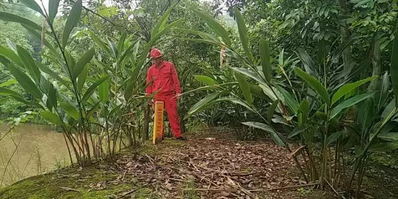 地震来了我们该怎么办