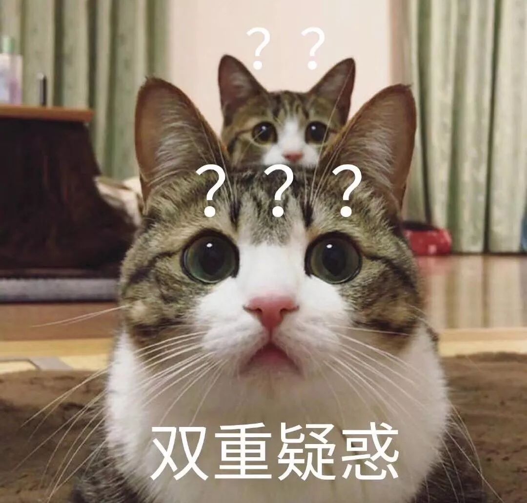 一只狗跨个包包猜成语_看图猜成语