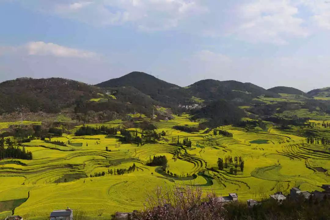 帆哥的理论法口诀44:行政区划