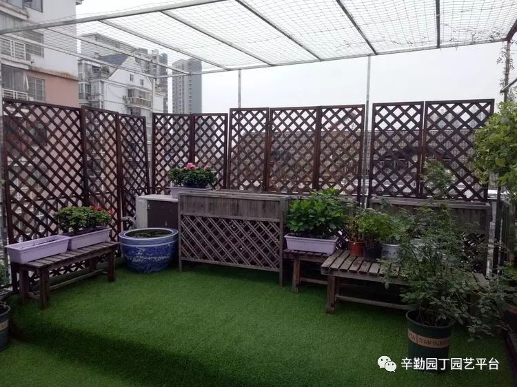 花盆,园土,花苗,花架,草坪,秋千,桌椅,拱门……谢谢你,亲爱的老公,无