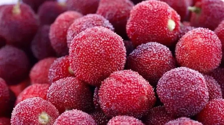 看图猜成语杨梅糖_看图猜成语