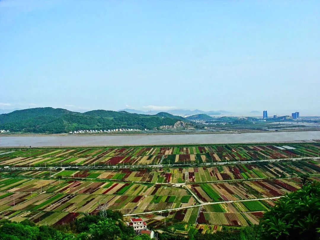 一条游步道串起北仑秀美绿色山川,溪水环绕,古树