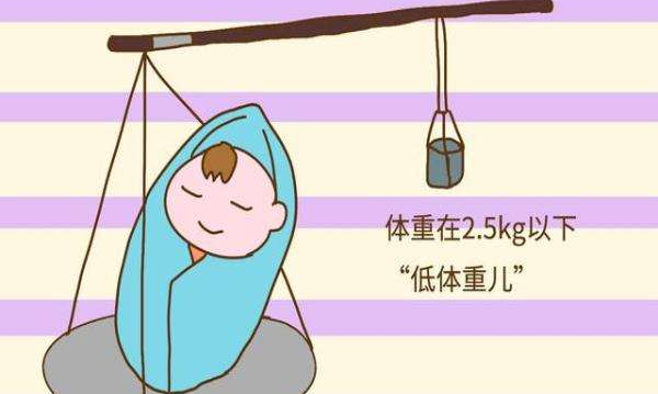                     新生儿越接近这个体重越聪明，原来是有科学依据的