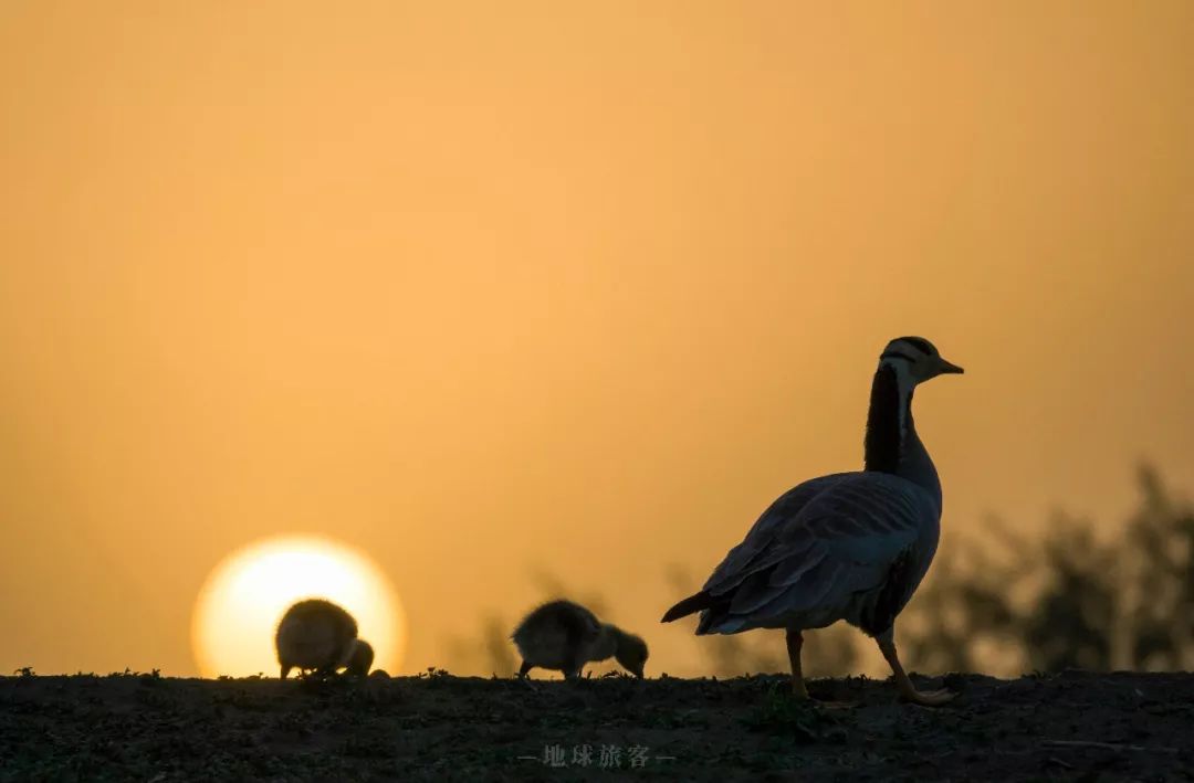 大西北的颜值担当,河西走廊之张掖