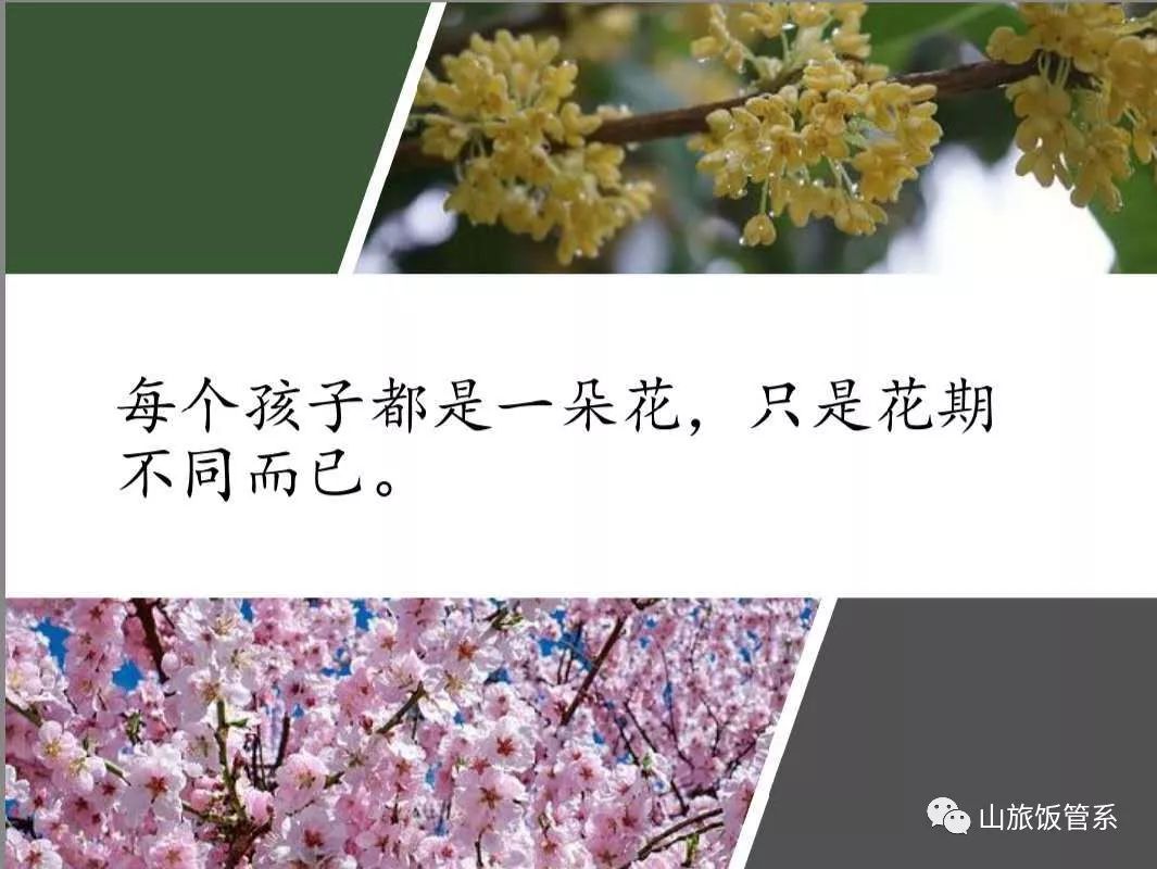 cle知识与实践|从默默耕耘到静待花开---万礼豪程资深