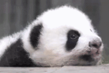 研究:女性开灯睡觉更容易长胖