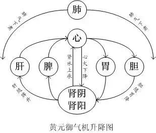 图解黄元御《四圣心源》:人体是个小宇宙,其循环运行就是一个圆圈