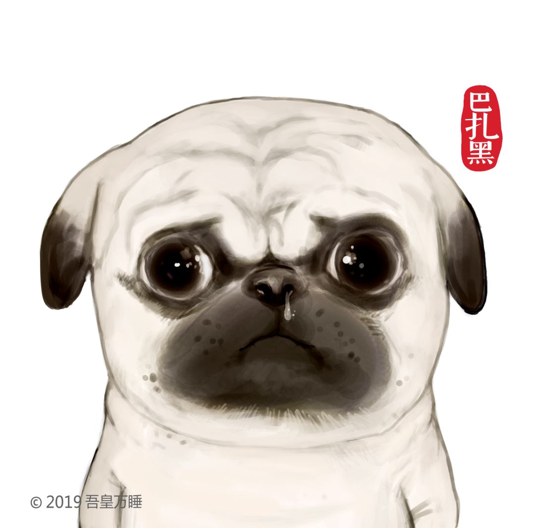 体育 正文  化身为 触手可及的可爱萌宠 6月28日  华南首个吾皇万睡