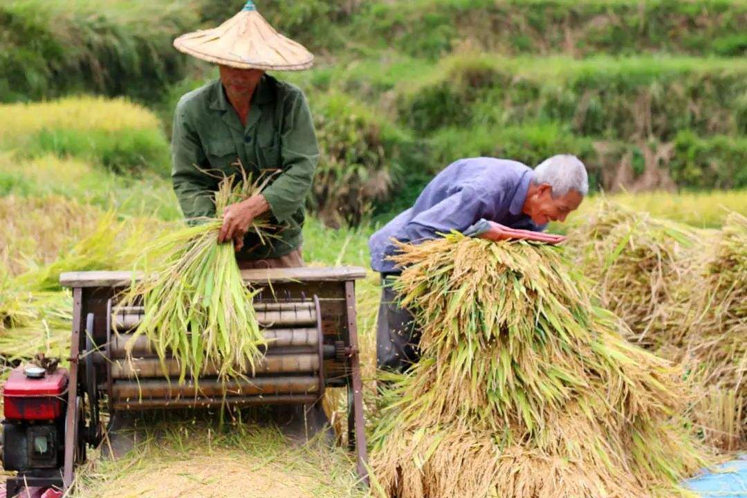 人口粮食比(2)