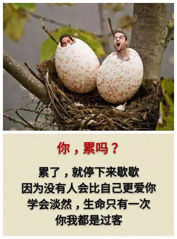 这段时间你累吗