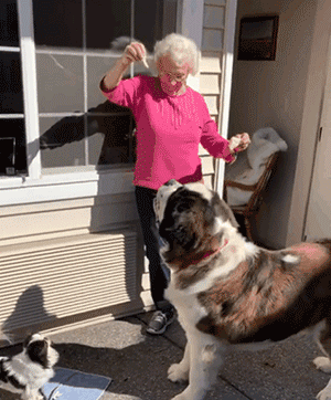 原創
            90多歲老奶奶不肯搬往兒子家，竟是由於領居家的狗太可愛了？！ 寵物 第5張