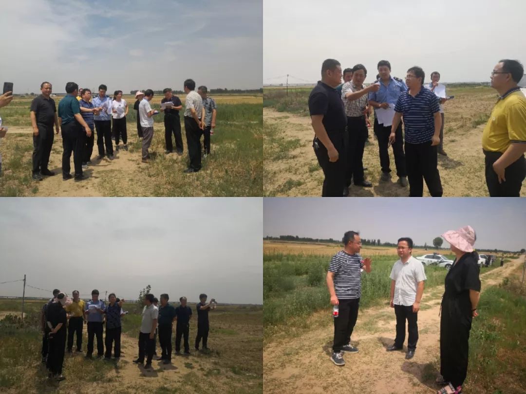 河南经济总量在黄河流域占_河南黄河流域图(2)