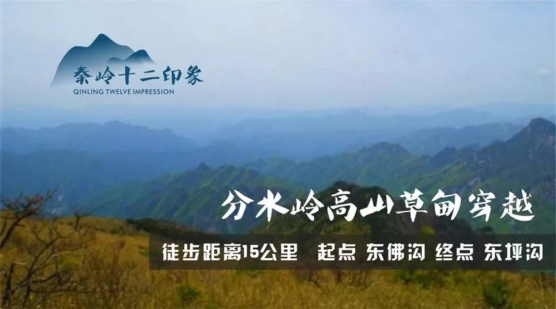 【秦岭十二印象丨高山草甸】6月23日 | 东佛沟徒步穿越东坪沟,尽览